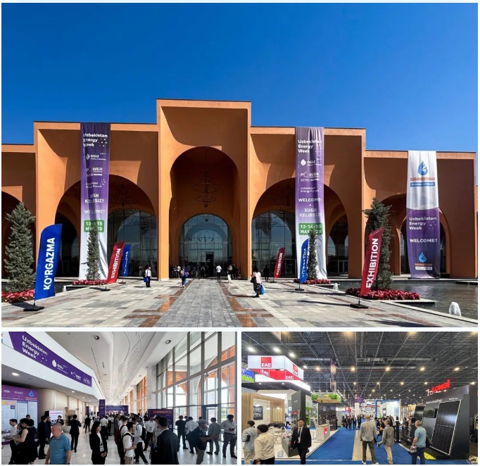 17479802181509705929.png 1.png